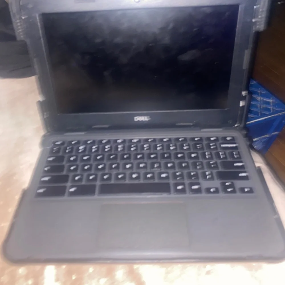 Dell Chromebook laptop only wants 80$ for it the lowest is 70$